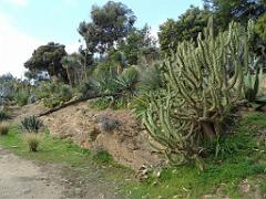 183 D27 Rayol Canadel 2_000006